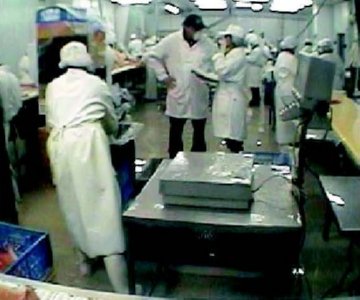 industria salmon (14)  ALIMENTOS MERCADO